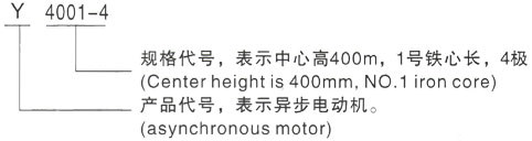 西安泰富西玛Y系列(H355-1000)高压YRKK4501-8/220KW三相异步电机型号说明